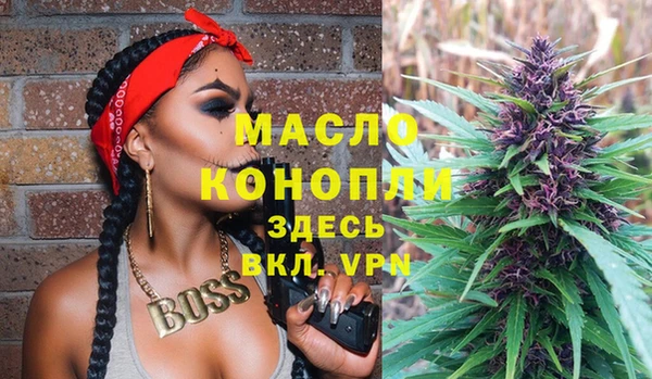 дмт Богородицк